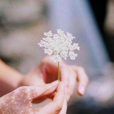 星空无限官方入口